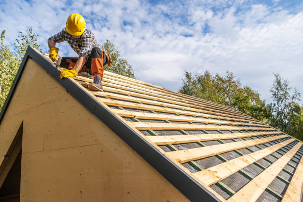Roof Gutter Cleaning in Salt Creek Commons, IN
